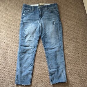 Democracy Blue Denim Women's Jeans Size 10